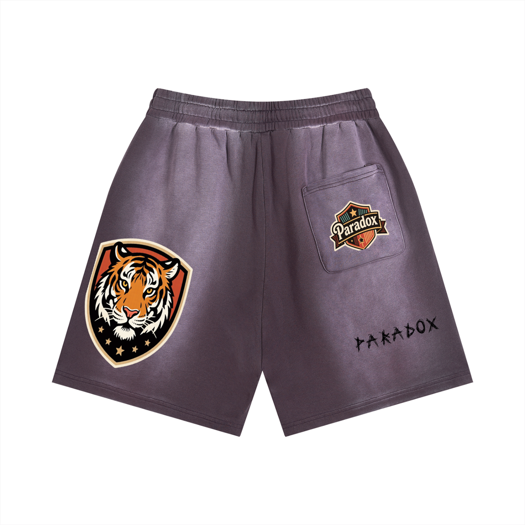 Sun Fade Distressed Shorts