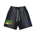 Sun Fade Distressed Shorts